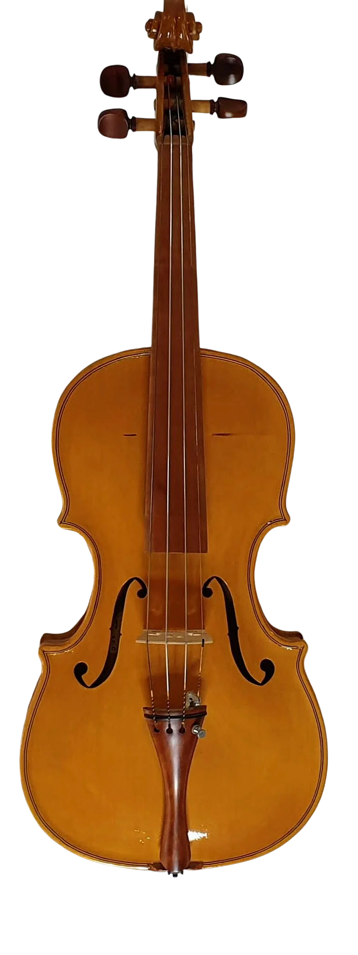 Violin (13)