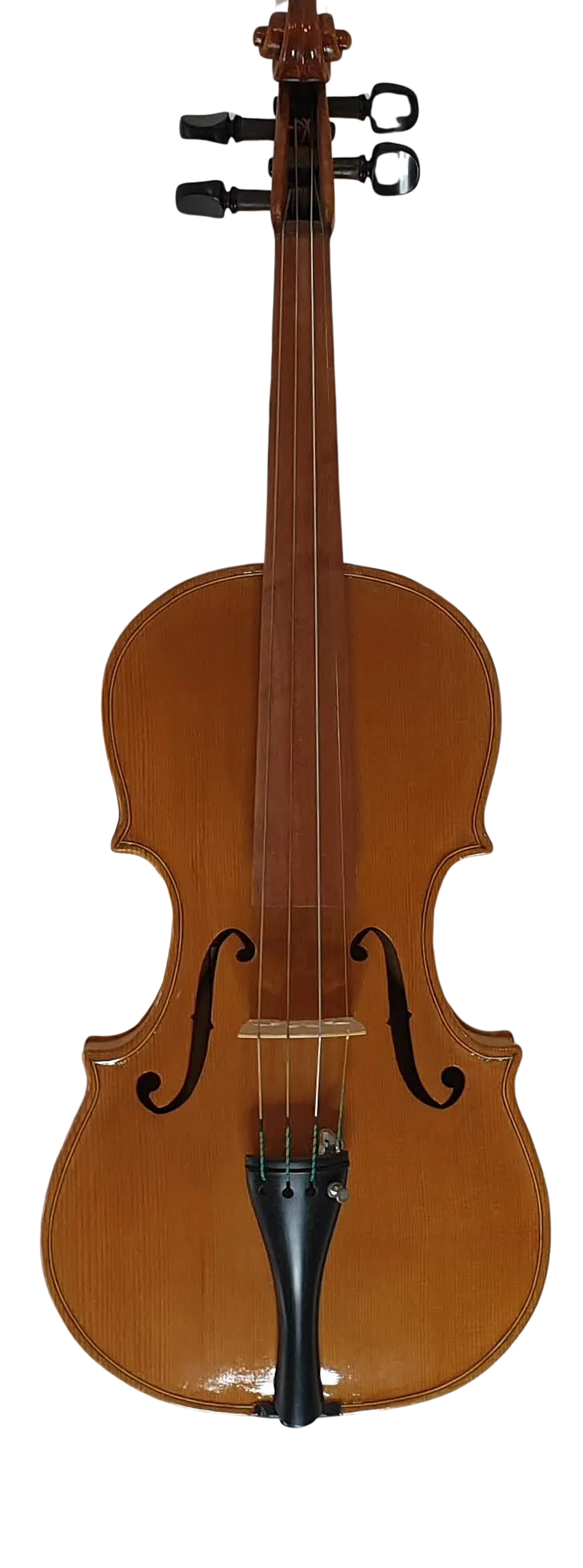 Violin (19)