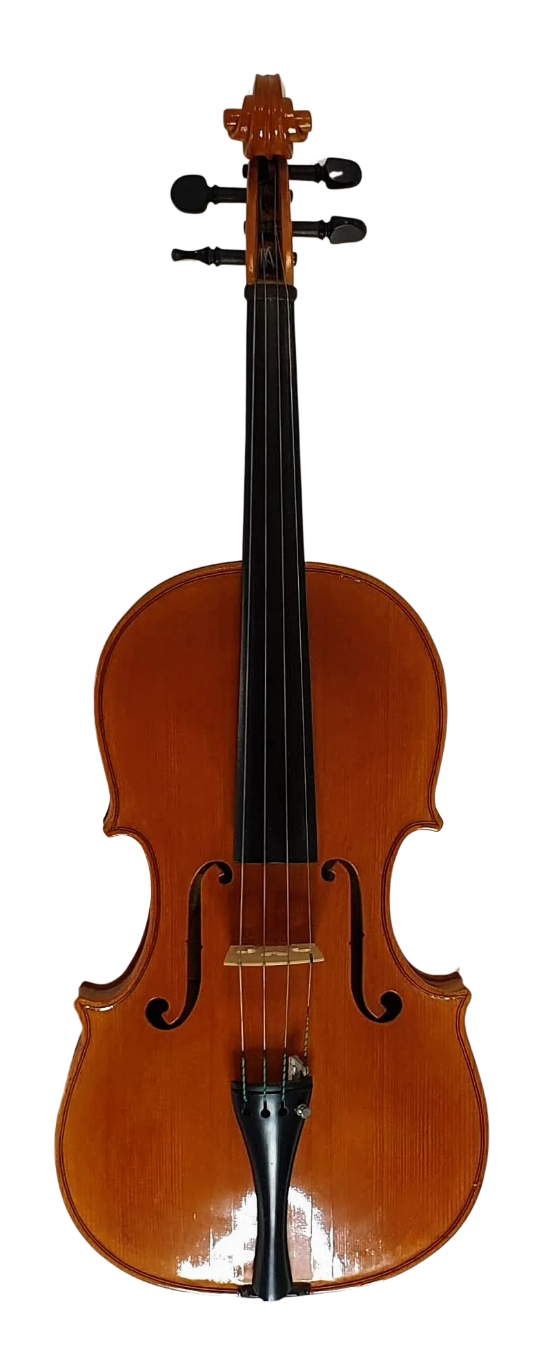 Viola (2)