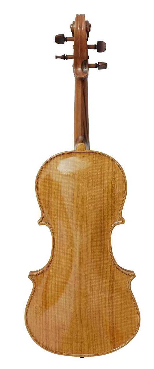 Viola (9) — back