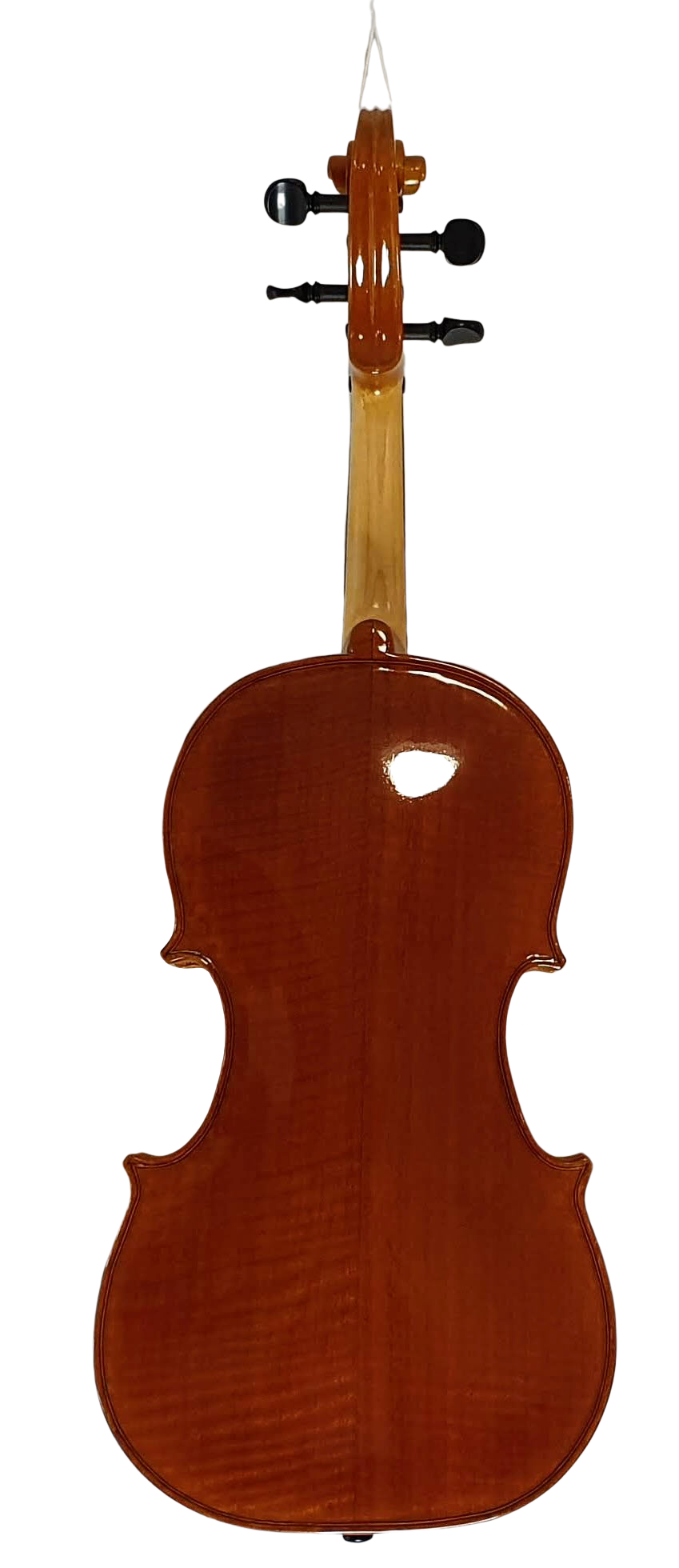 Viola (2) — back