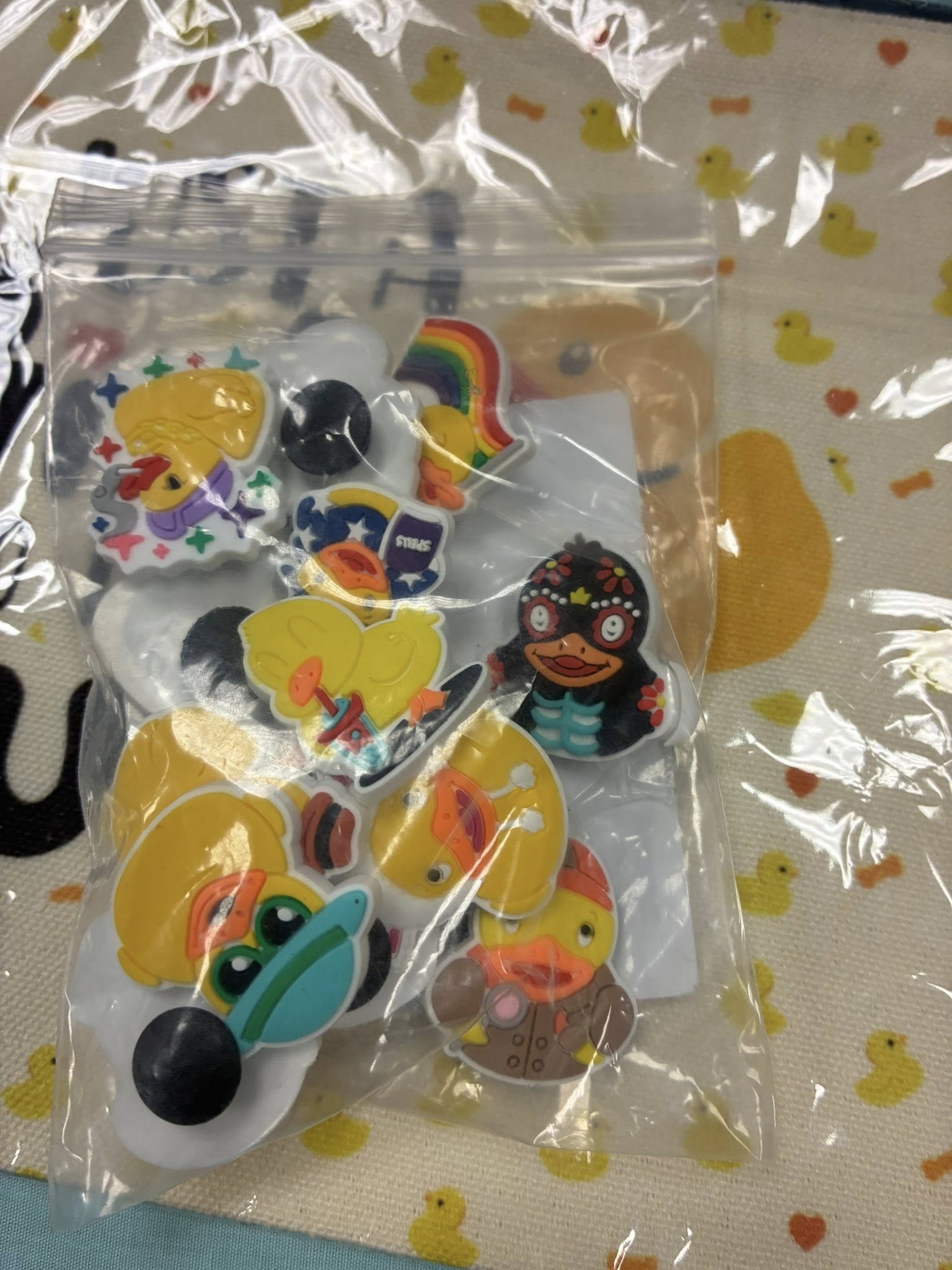 Colorful duck collection on display