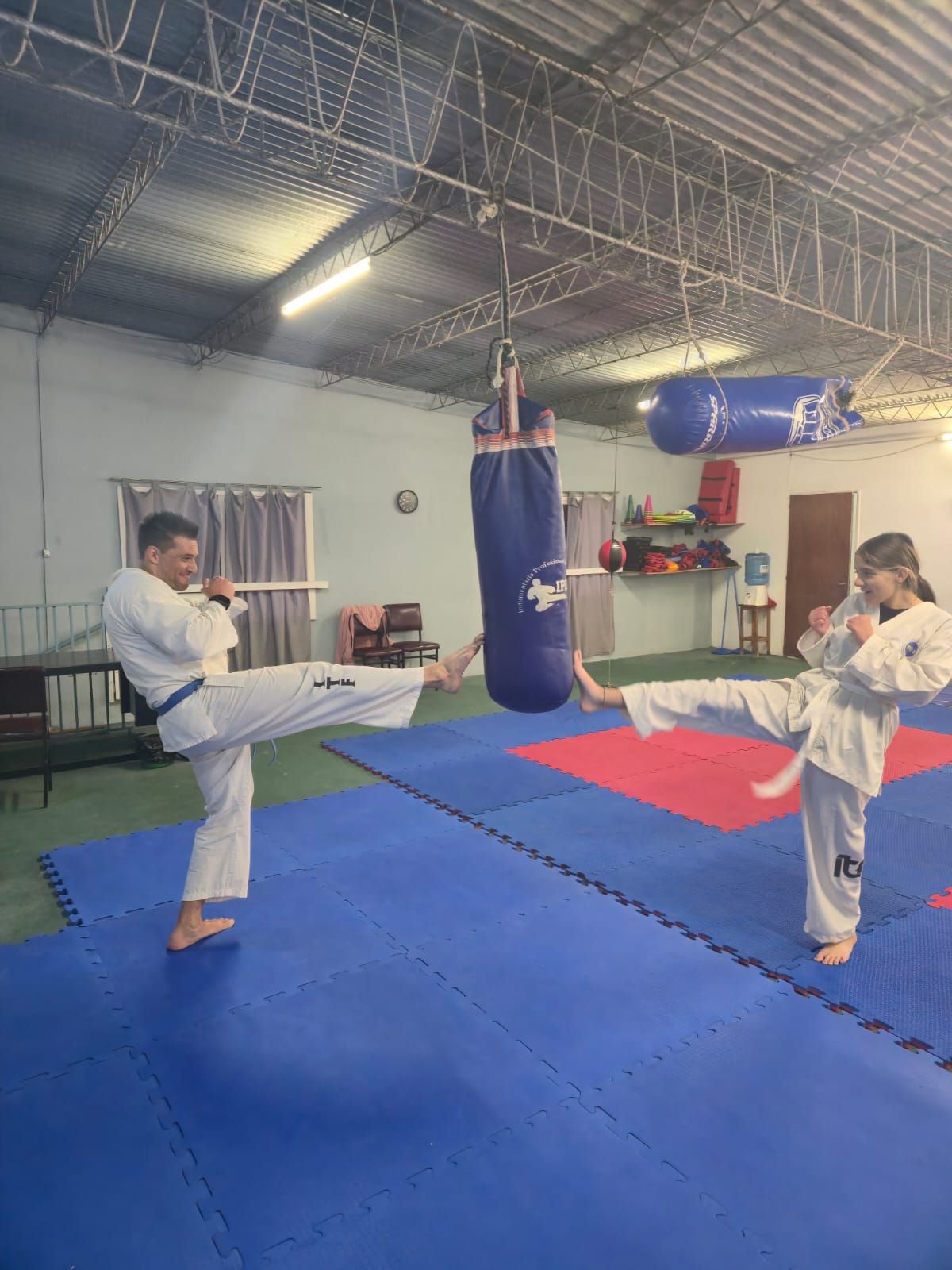 Clase de Taekwondo en acción