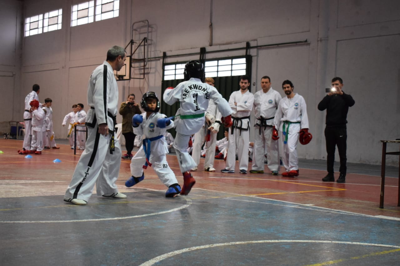 Entrenamiento en el Dojang