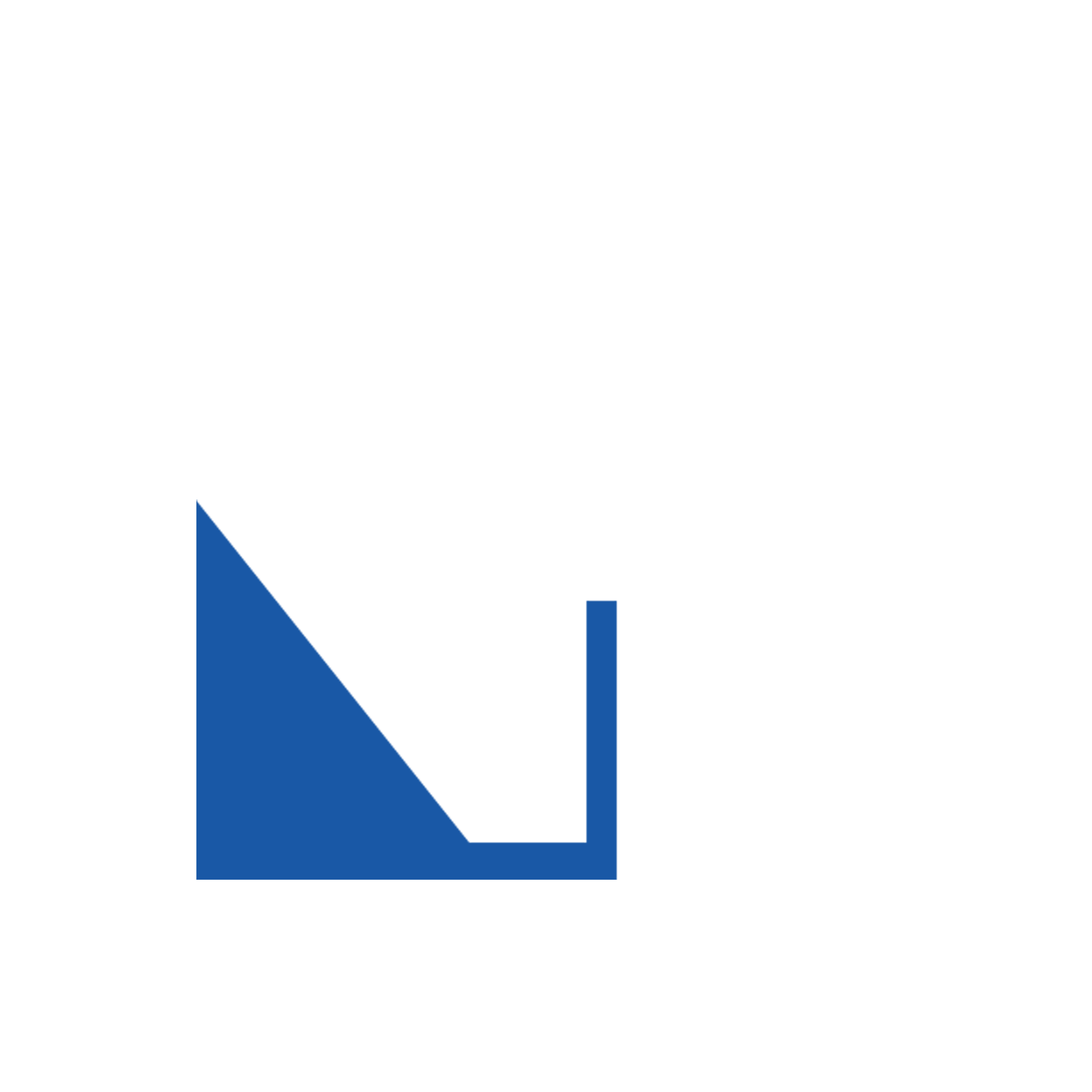Nazir Travel Logo