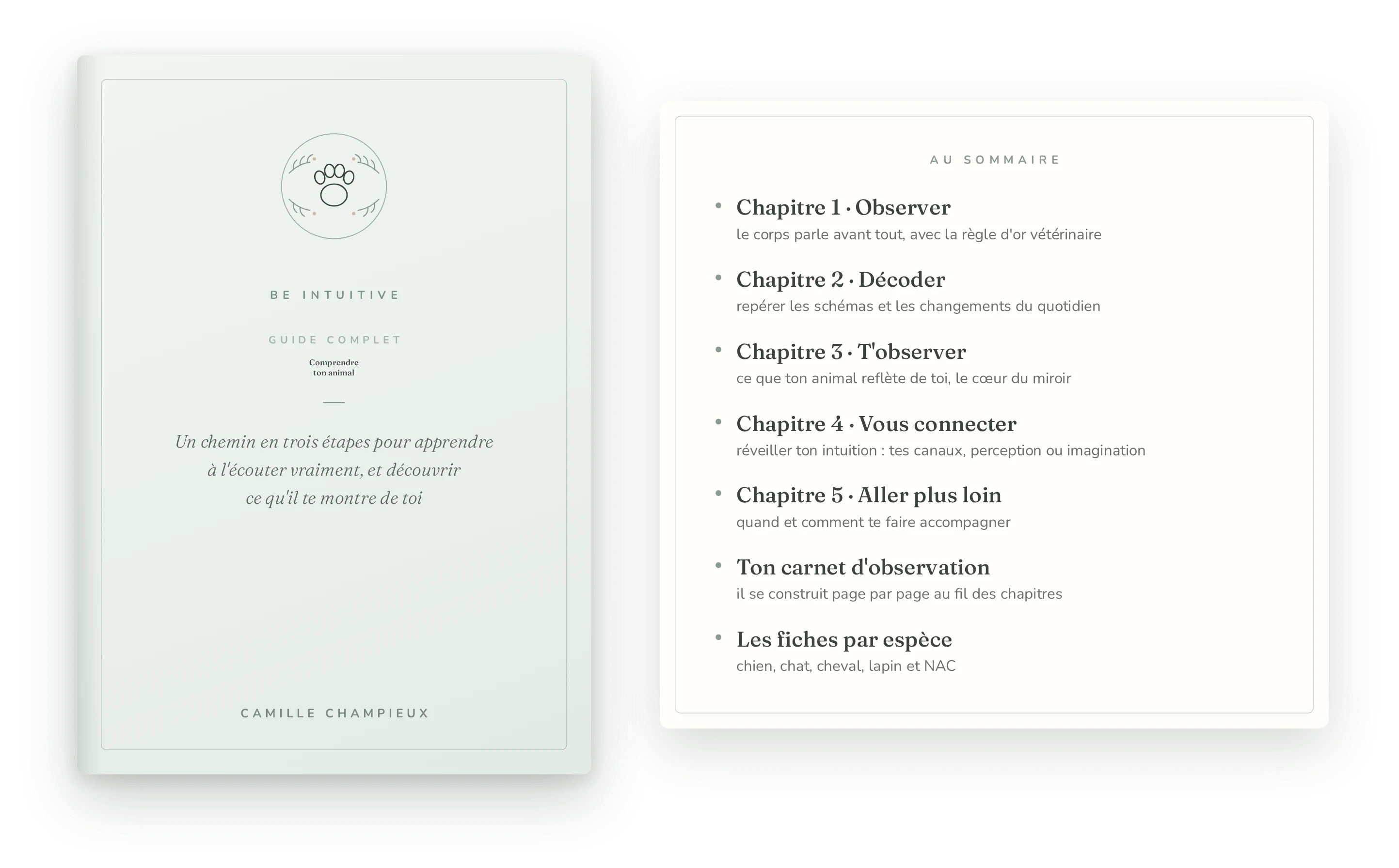Comprendre ton animal — couverture
