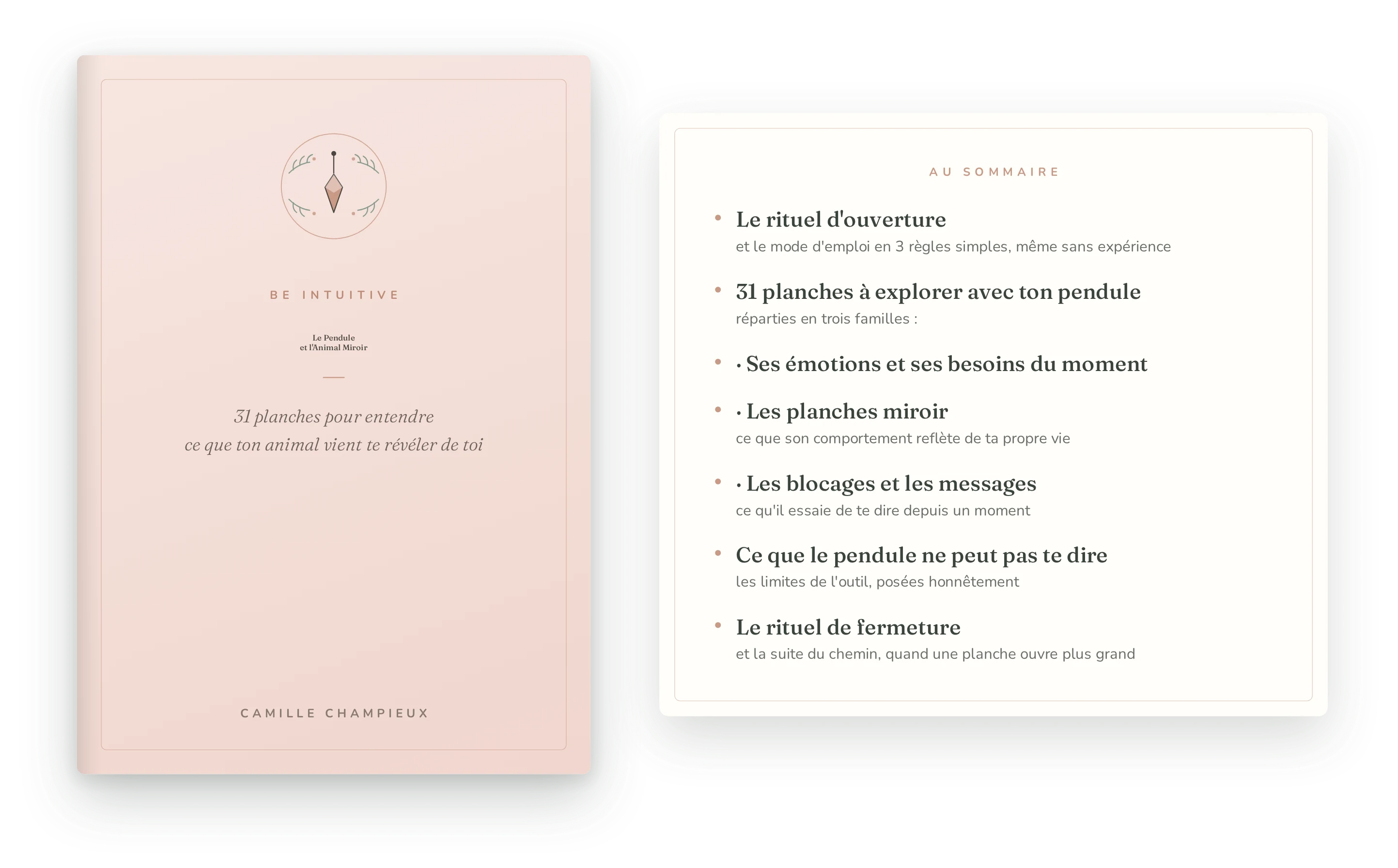 Le pendule et l'animal miroir — couverture et sommaire