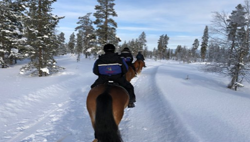 Horse Riding & Sleigh Rides