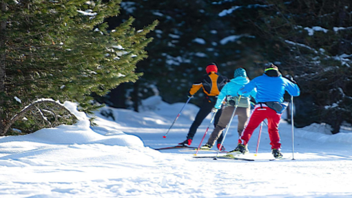 Cross Country Skiing