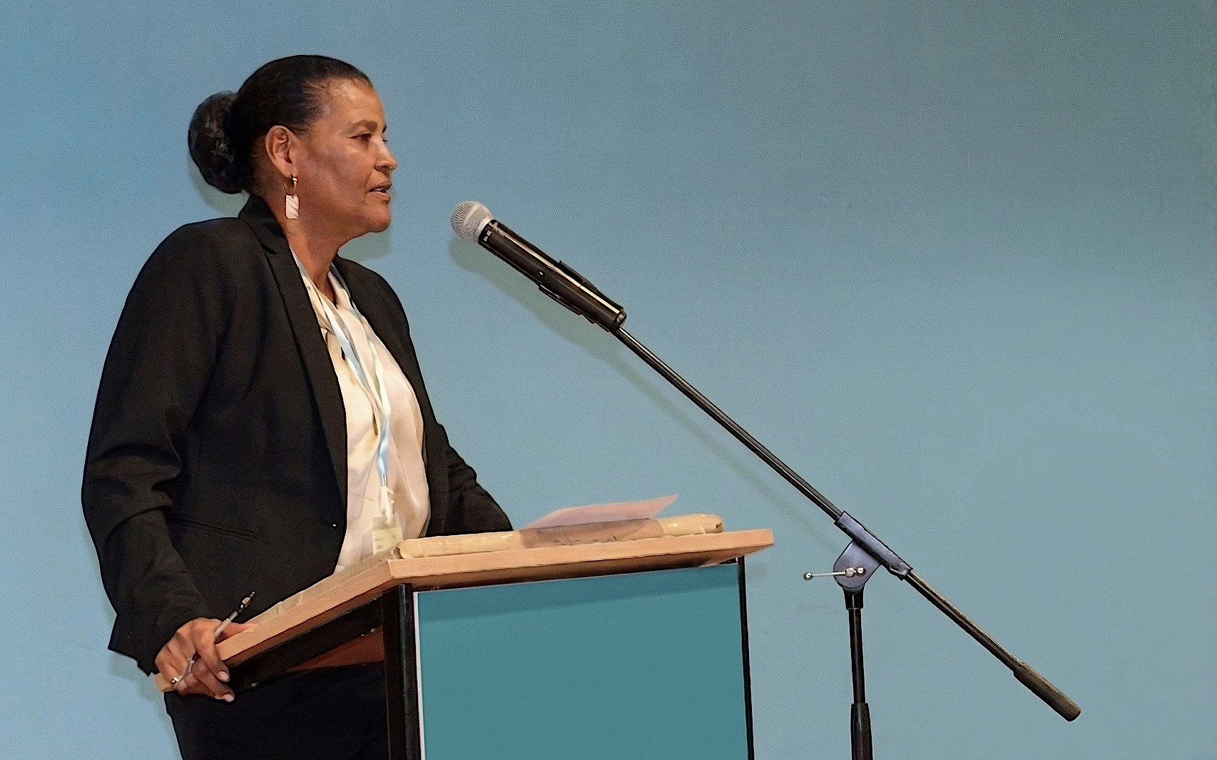 Maria de Brito Monteiro - Presidente do SINTCAP