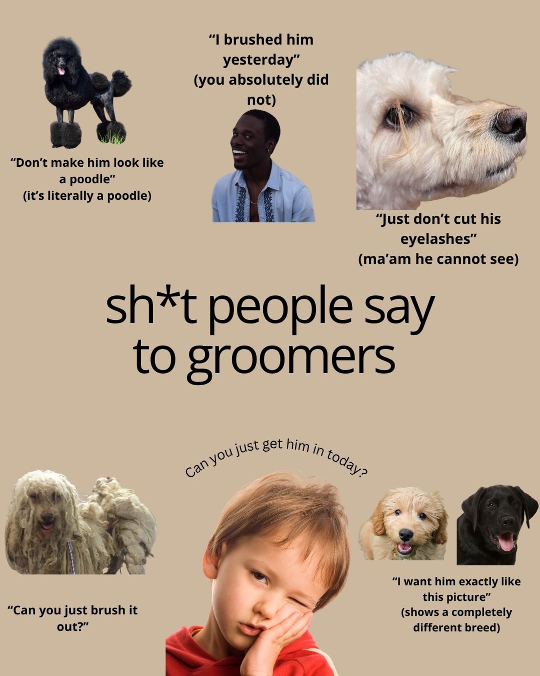 Dog with pet brand packaging