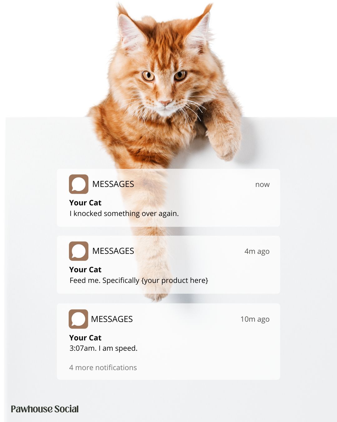 Pet supplement product shot