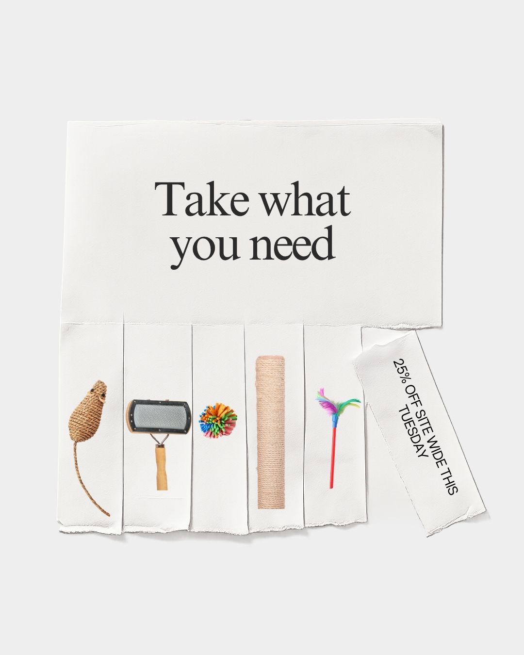 Pet brand content creation flatlay