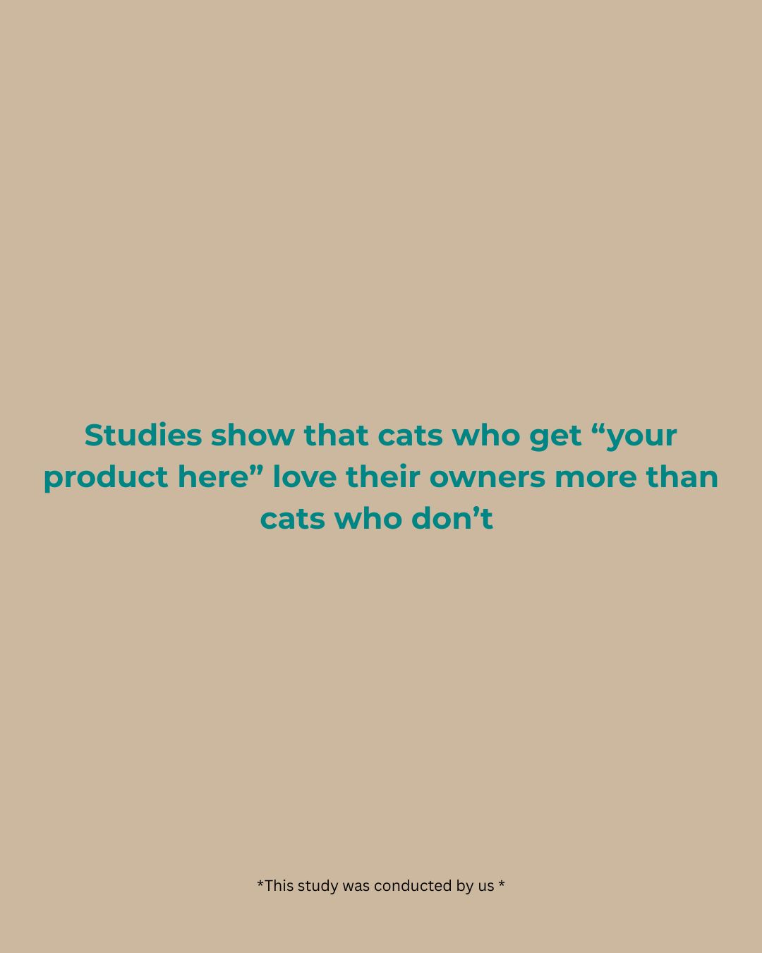 Branded pet lifestyle photo