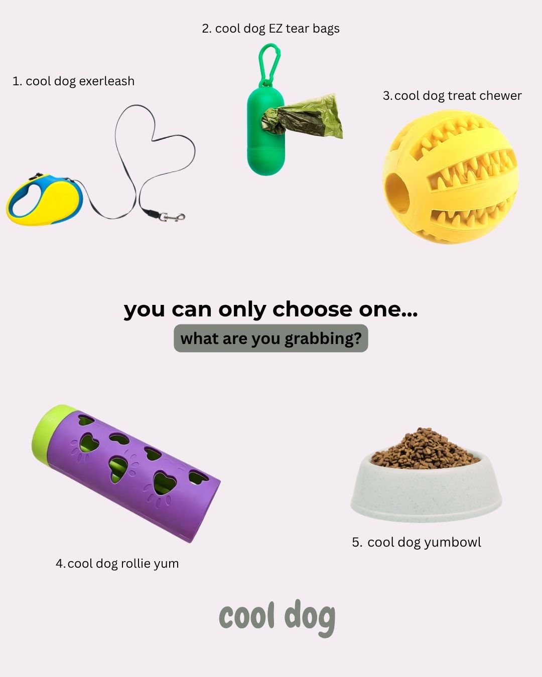 Cat with pet brand products