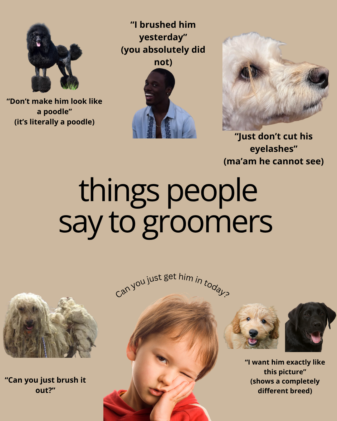 Things People Say to Groomers