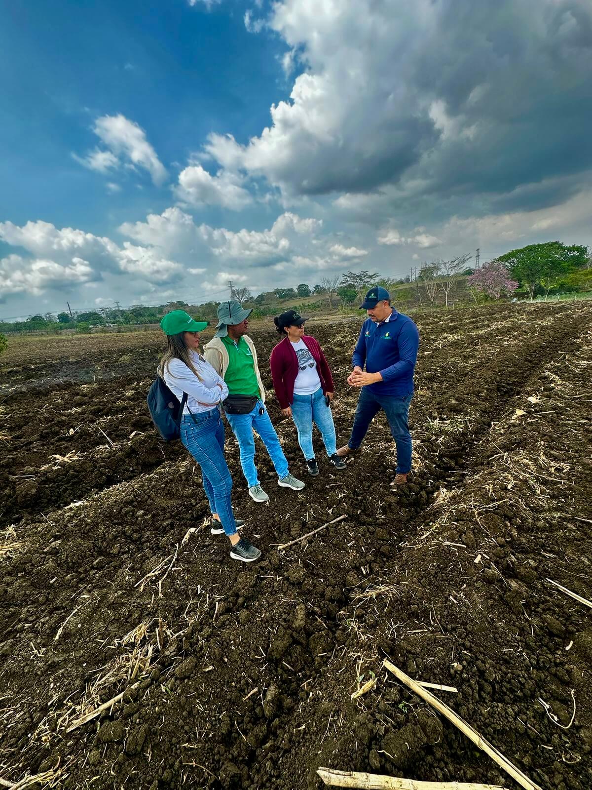 Trabajo de campo con productores aliados InterAgro del Caribe en Sucre Colombia