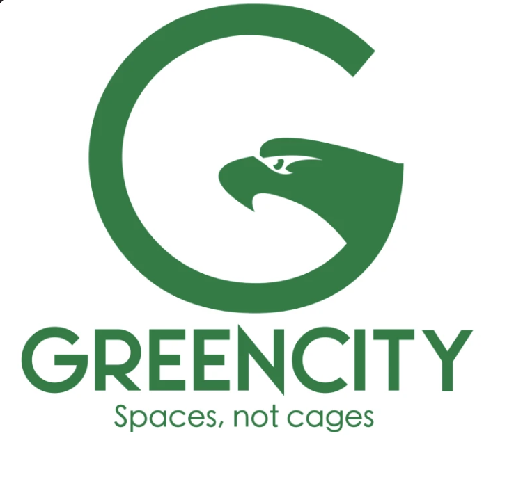 Greencity Logo Exploration: Panda direction, "G" letterform with animal-inspired organic motifs