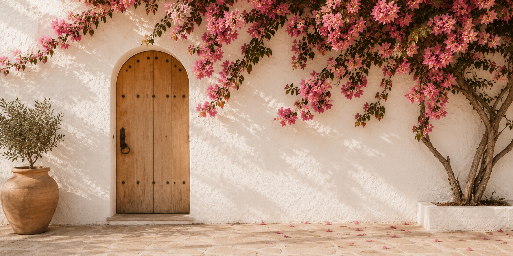 Bougainvillea in bloom — luxury living on the Costa del Sol