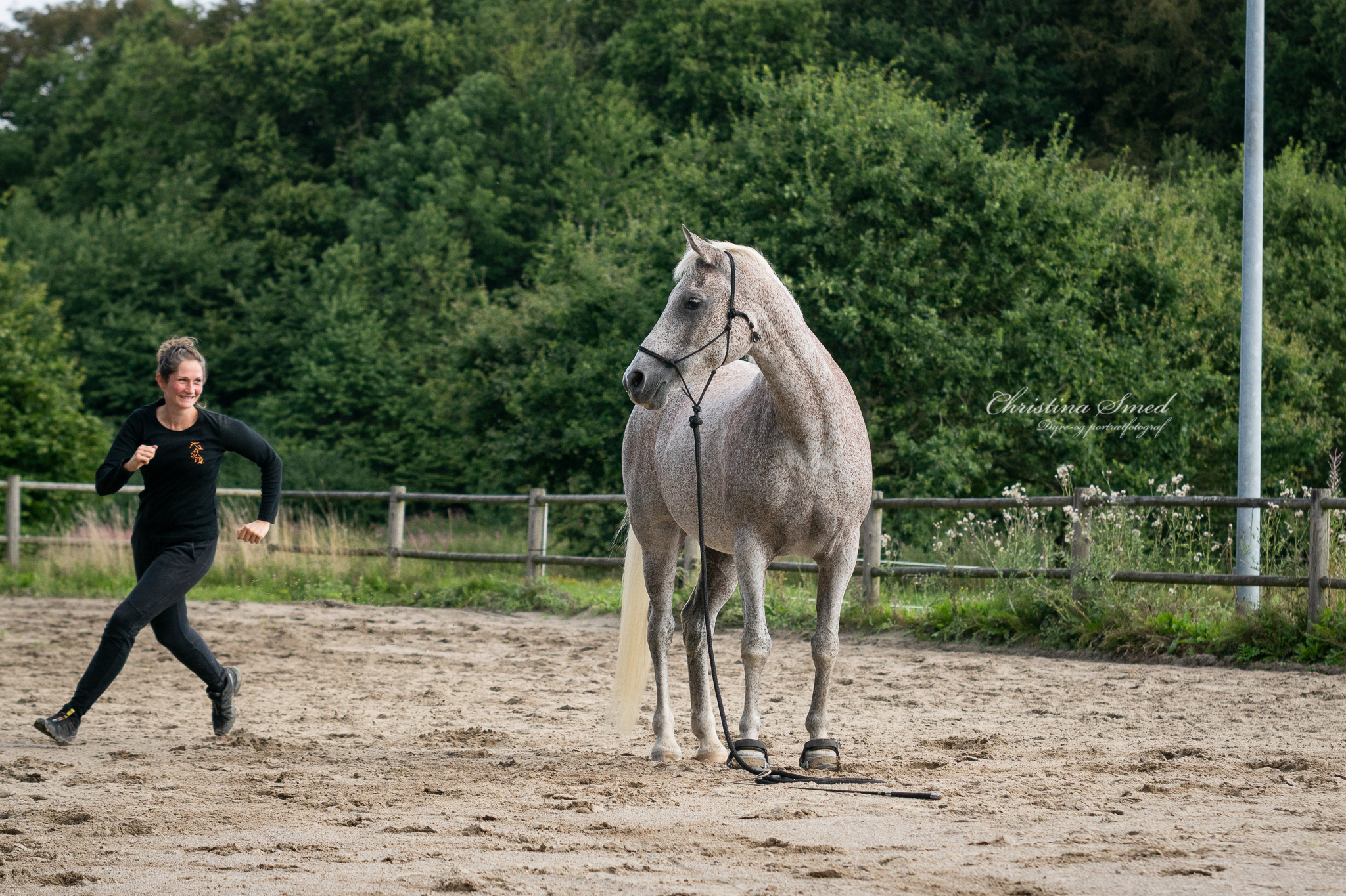 Jordarbejde med hest