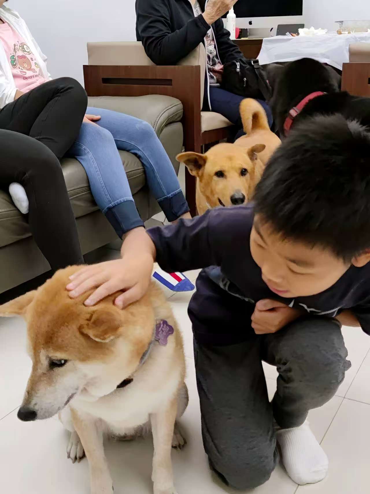 縮圖 8