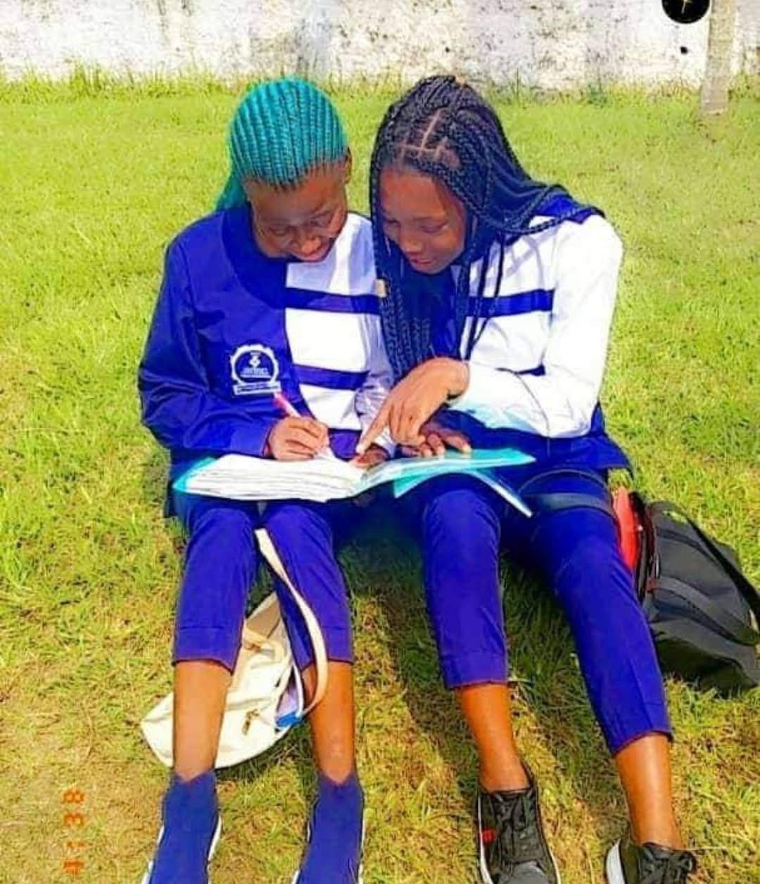 Activités pédagogiques