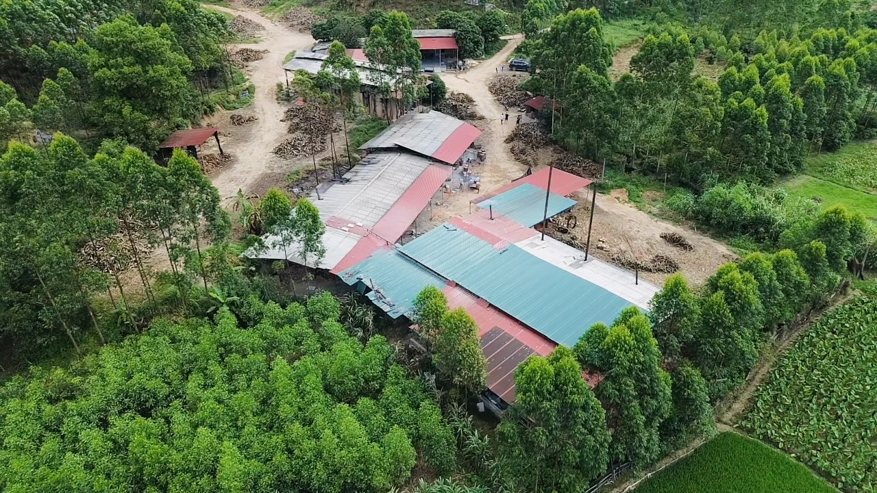 Xưởng sản xuất than Vietglobal