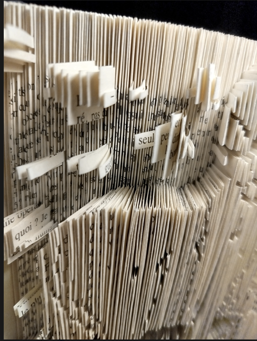 Détail relief Bélier – pliage artisanal