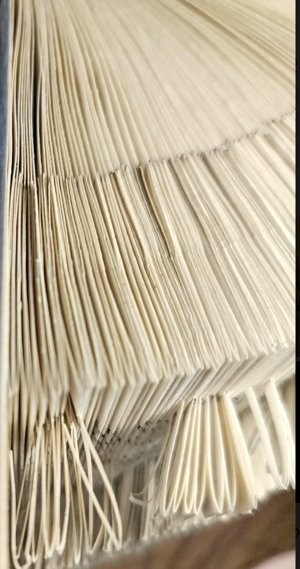 Détail corne Bélier – sculpture en papier