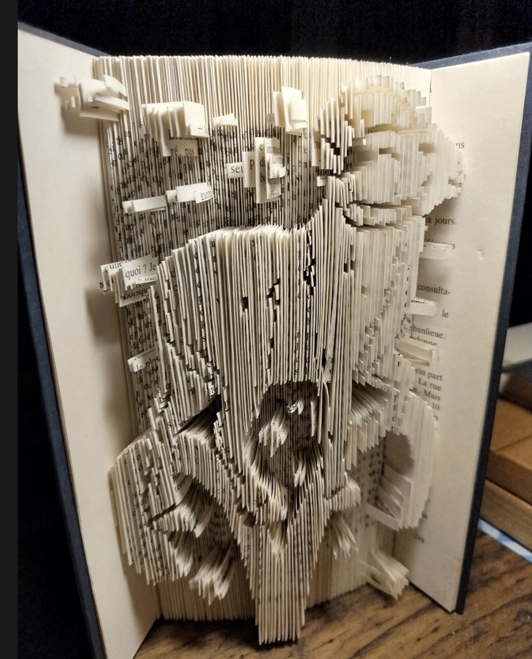 Livre plié Bélier – vue générale