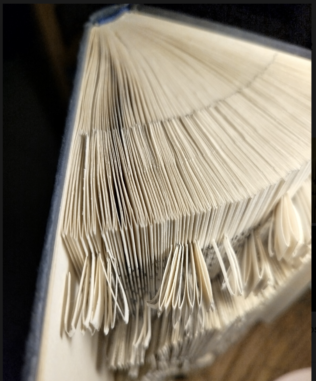 Détail finition – vue latérale du Bélier