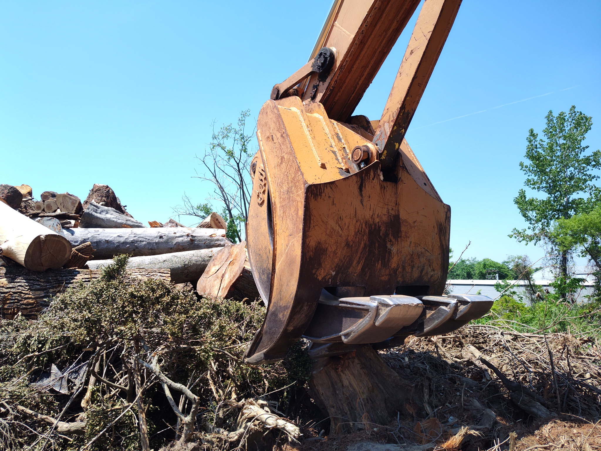 Professional tree work in Worcester, PA