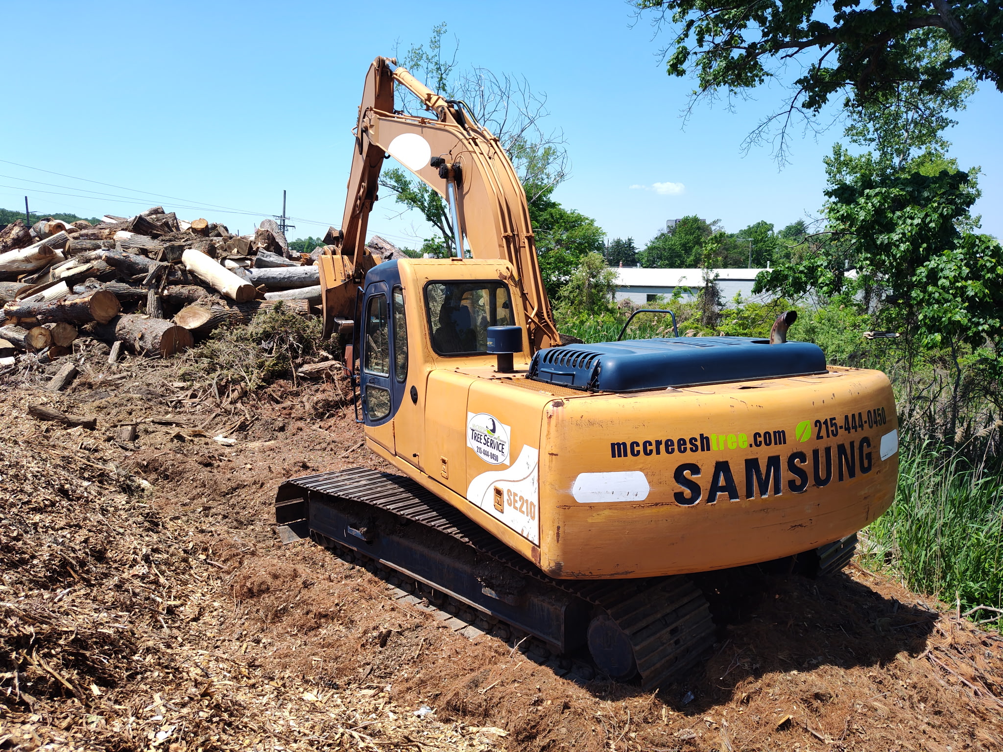 Tree service in Durham, PA
