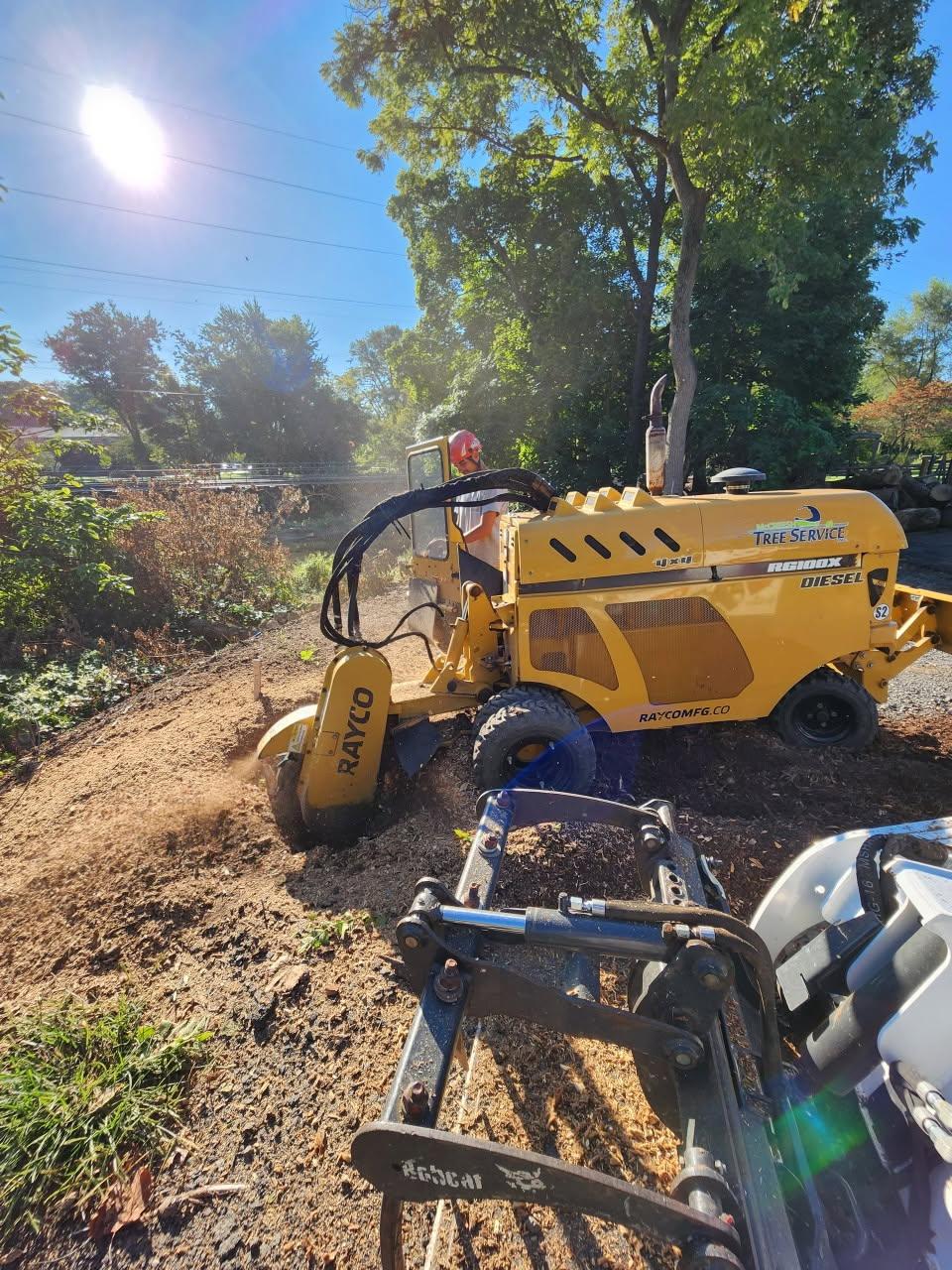 McCreesh Tree Service stump grinding with professional Rayco equipment McCreesh Tree Service stump grinding with professional Rayco equipment