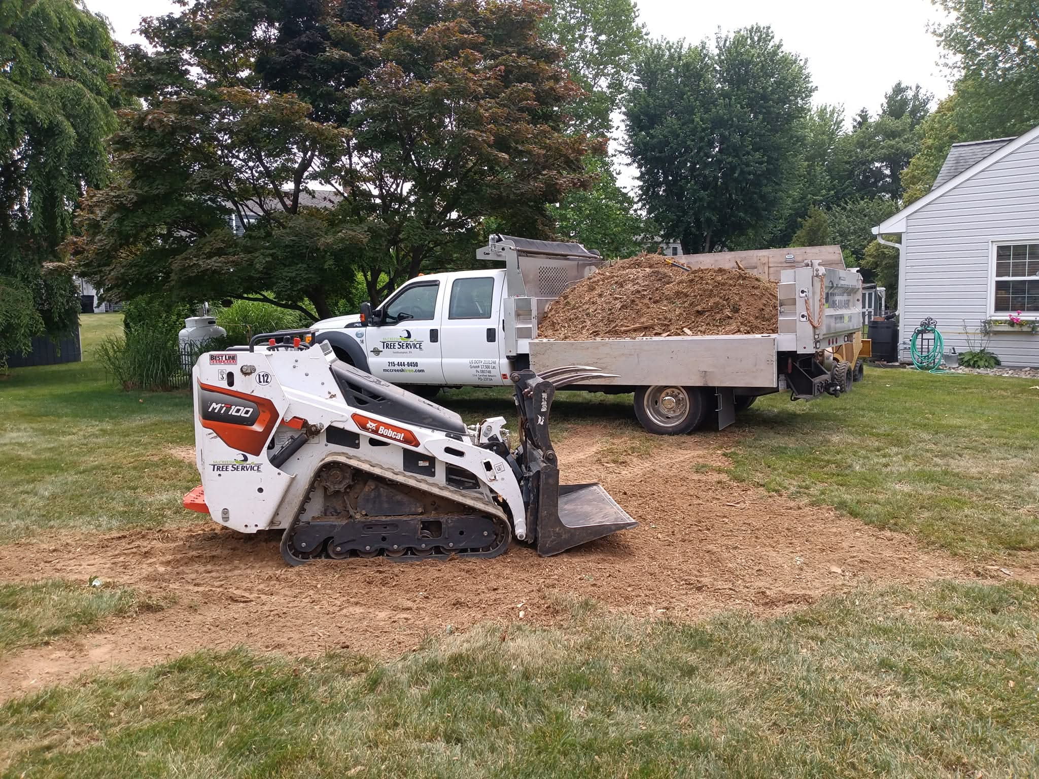 Professional tree work in Bedminster, PA