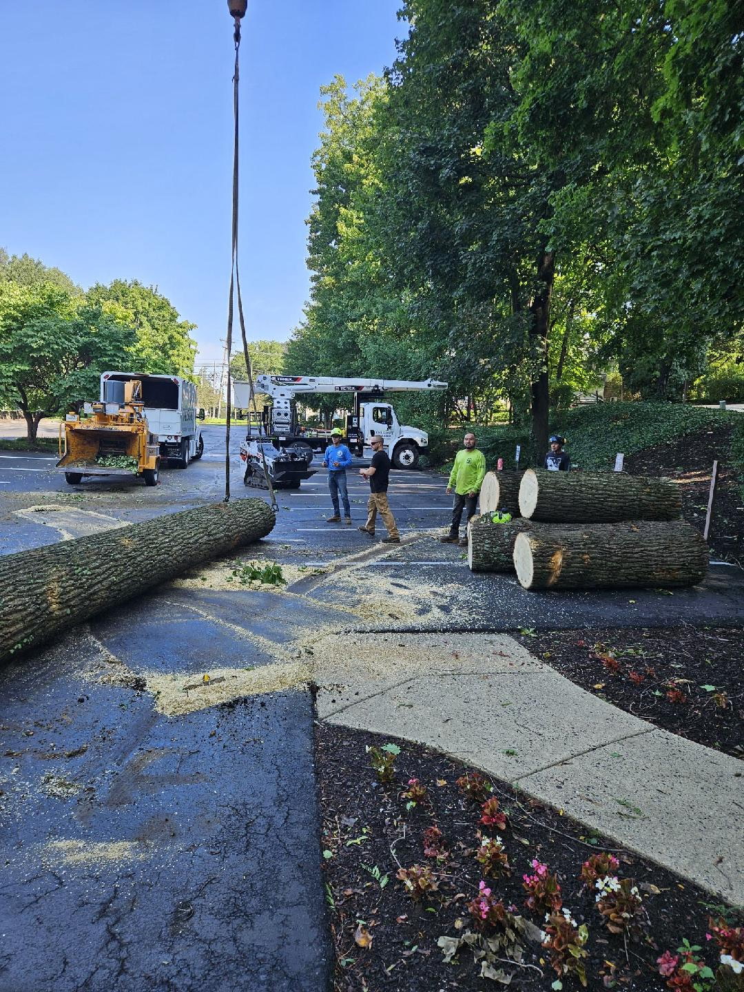 McCreesh Tree Service at work in Durham, PA
