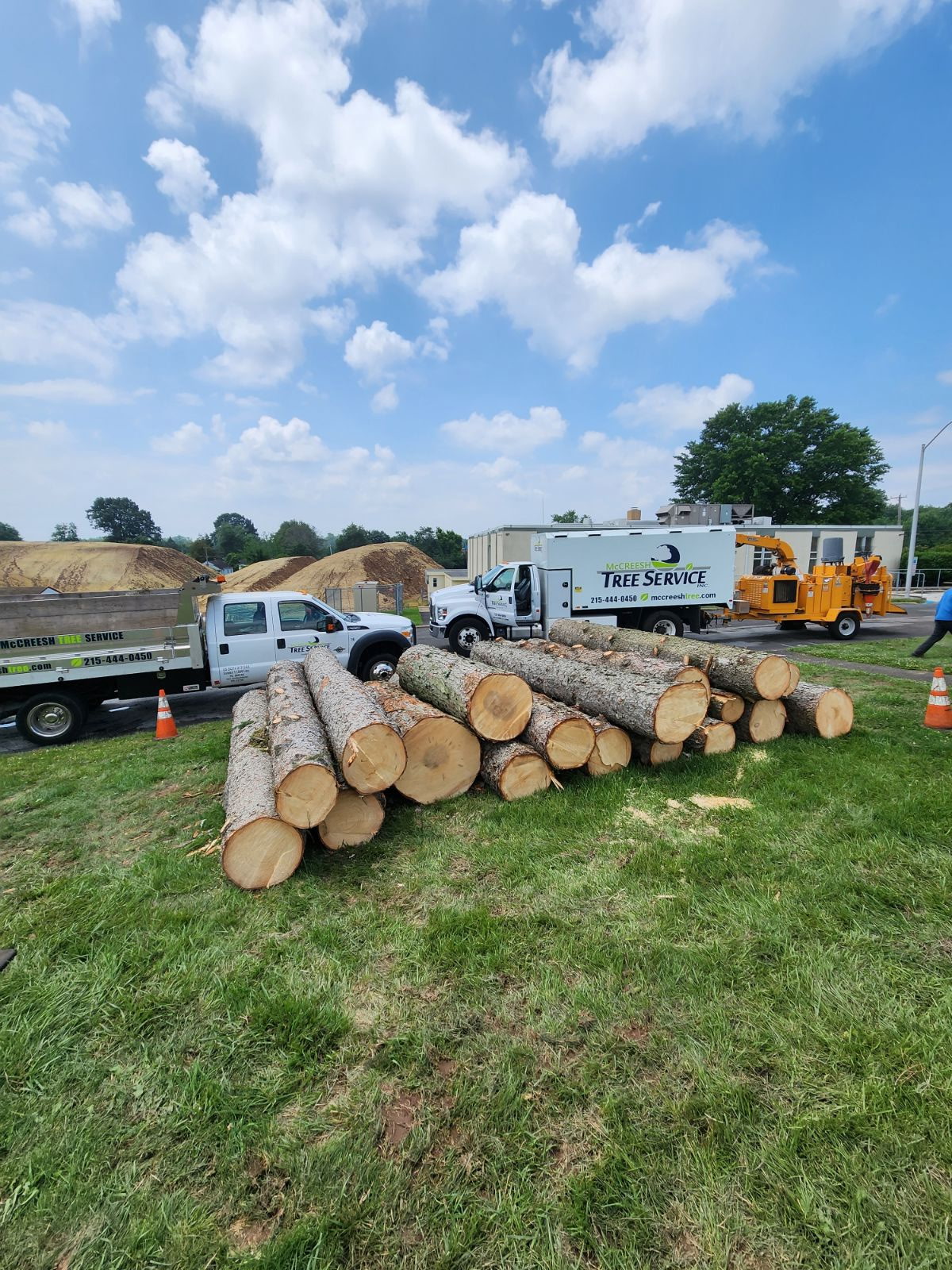 McCreesh Tree Service at work in Narberth, PA