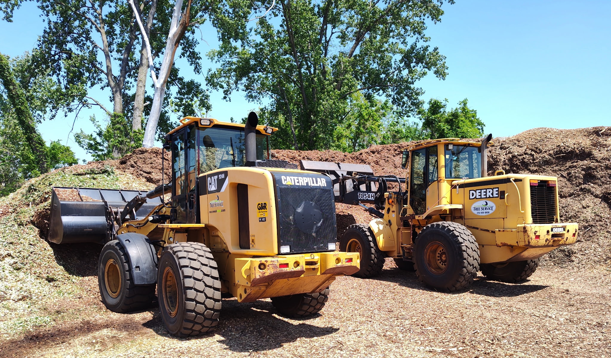 Tree service in Trooper, PA