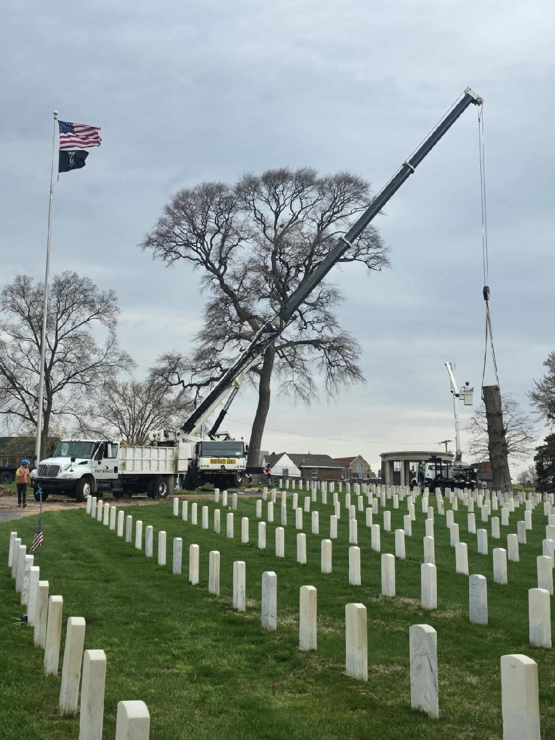 Tree service in Yardley, PA